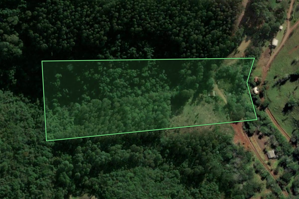 Imagem de satélite do imóvel rural em Lindóia do Sul (SC), com o contorno declarado no CAR desenhado por cima.