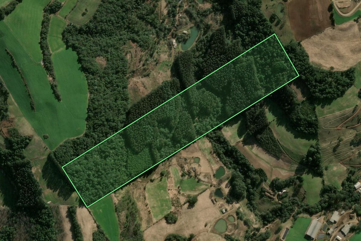 Imagem de satélite do imóvel rural em Lindóia do Sul (SC), com o contorno declarado no CAR desenhado por cima.