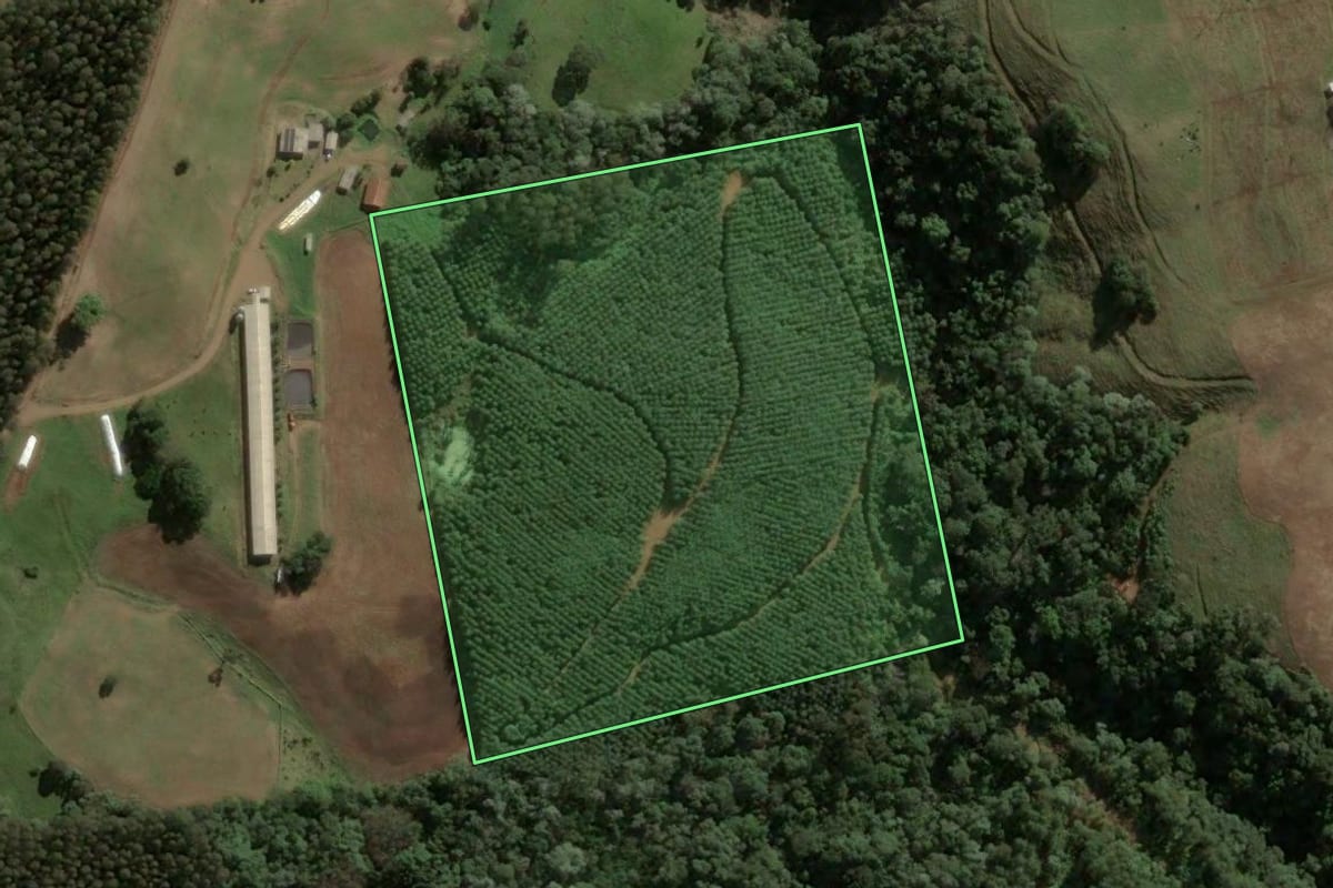 Imagem de satélite do imóvel rural em Lindóia do Sul (SC), com o contorno declarado no CAR desenhado por cima.