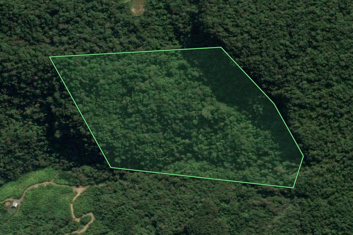 Imagem de satélite do imóvel rural em Lontras (SC), com o contorno declarado no CAR desenhado por cima.