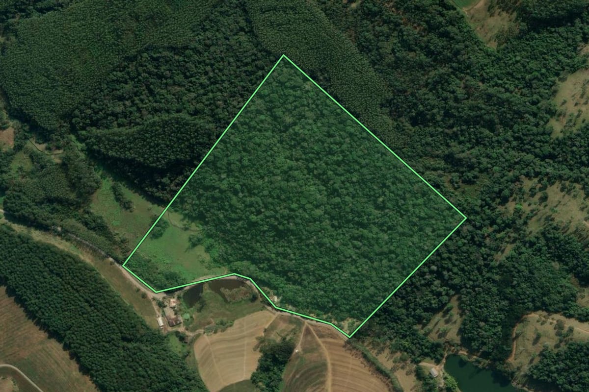 Imagem de satélite do imóvel rural em Lontras (SC), com o contorno declarado no CAR desenhado por cima.