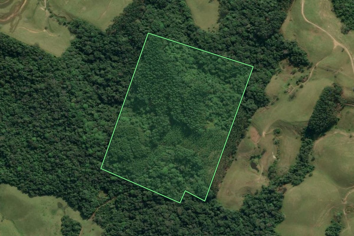 Imagem de satélite do imóvel rural em Lontras (SC), com o contorno declarado no CAR desenhado por cima.