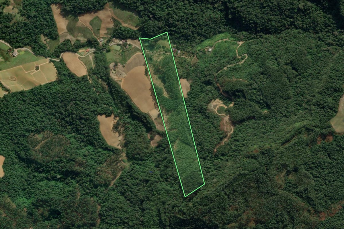 Imagem de satélite do imóvel rural em Lontras (SC), com o contorno declarado no CAR desenhado por cima.