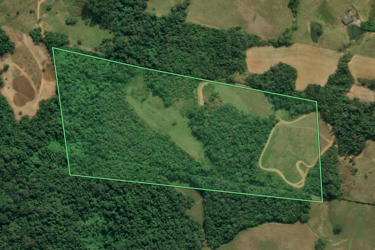 Imagem de satélite do imóvel rural em Lontras (SC), com o contorno declarado no CAR desenhado por cima.