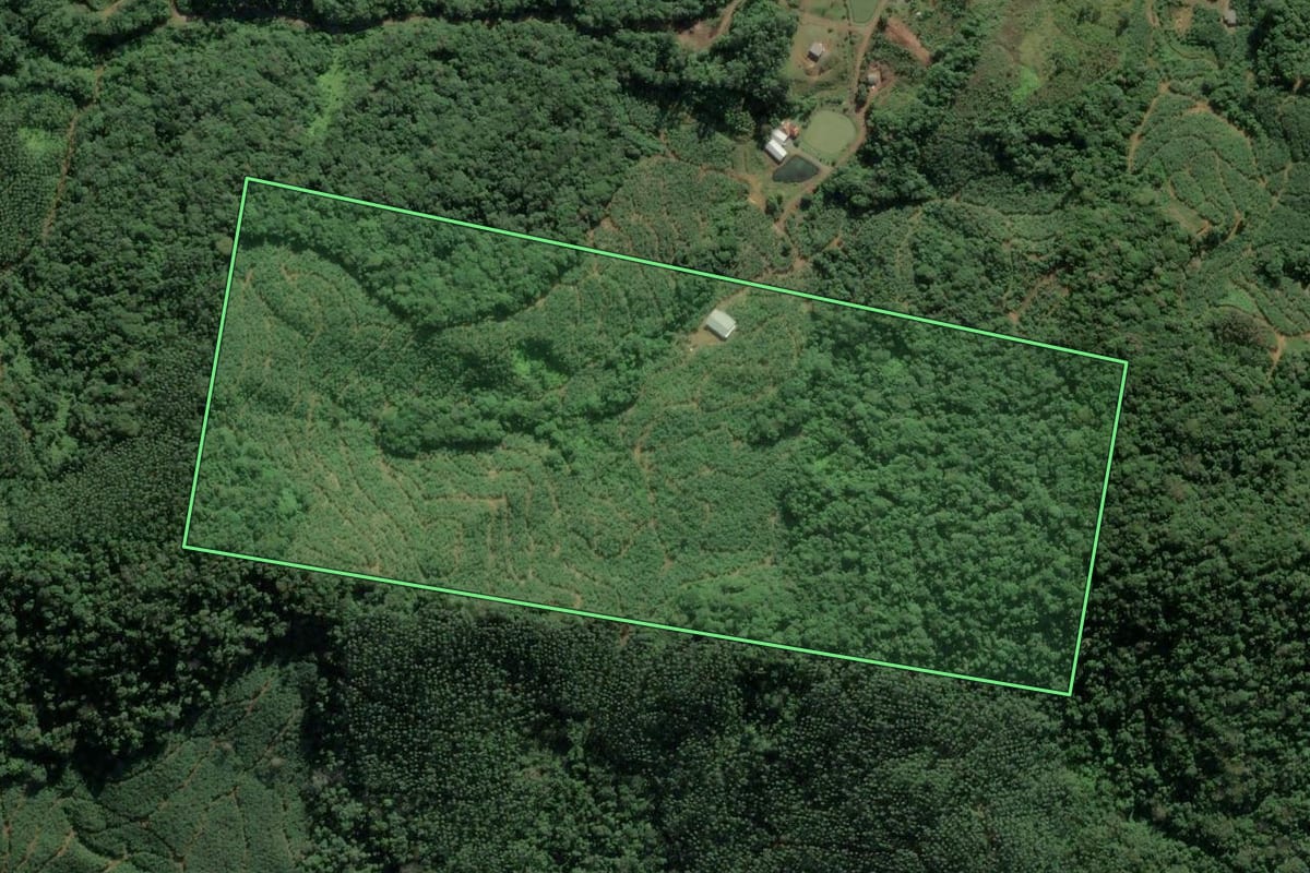 Imagem de satélite do imóvel rural em Luiz Alves (SC), com o contorno declarado no CAR desenhado por cima.