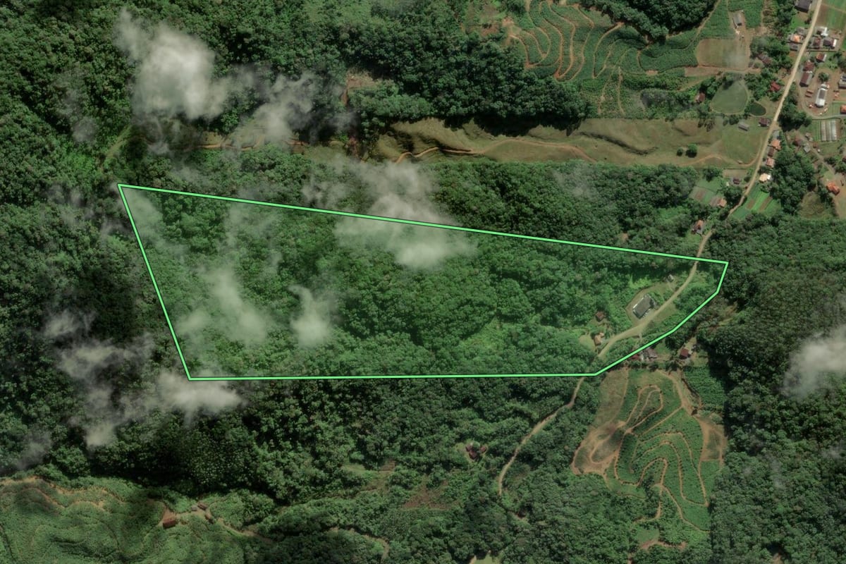 Imagem de satélite do imóvel rural em Luiz Alves (SC), com o contorno declarado no CAR desenhado por cima.