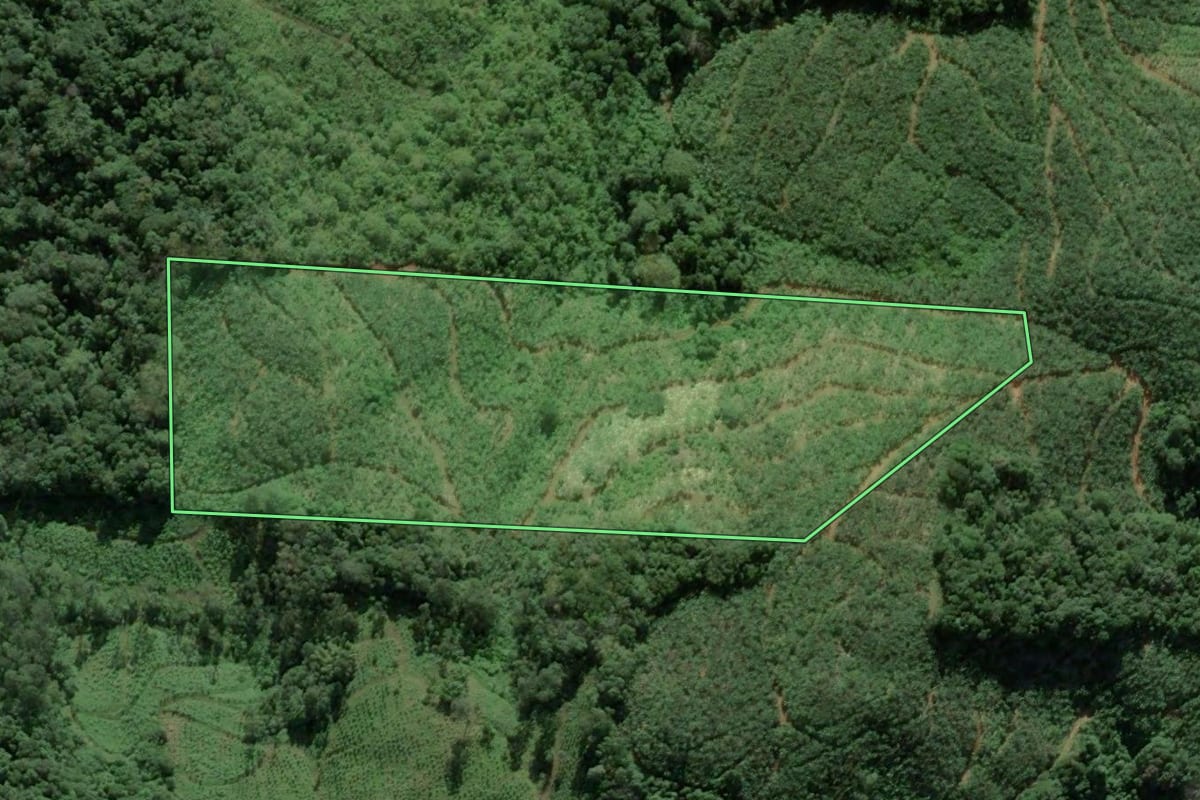 Imagem de satélite do imóvel rural em Luiz Alves (SC), com o contorno declarado no CAR desenhado por cima.
