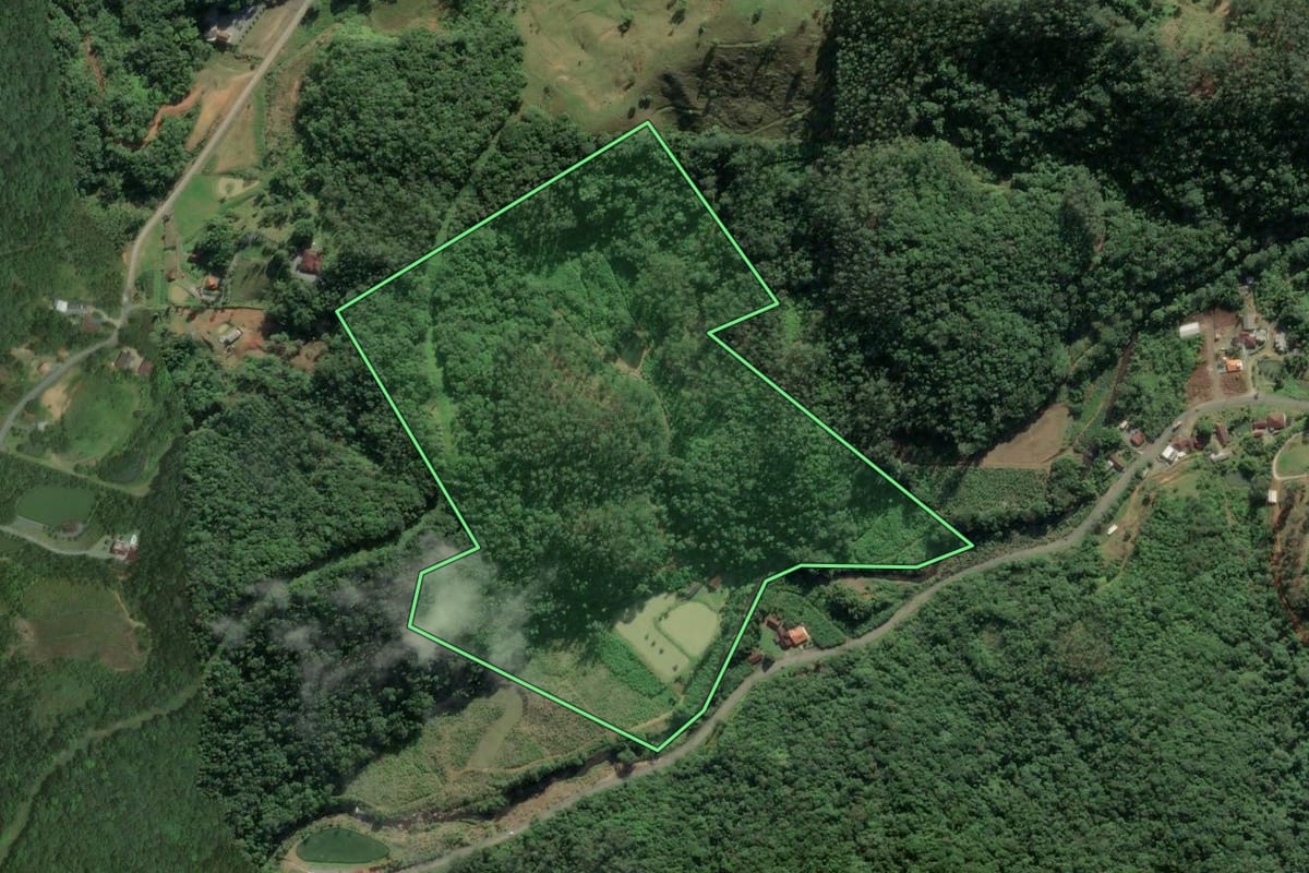 Imagem de satélite do imóvel rural em Luiz Alves (SC), com o contorno declarado no CAR desenhado por cima.