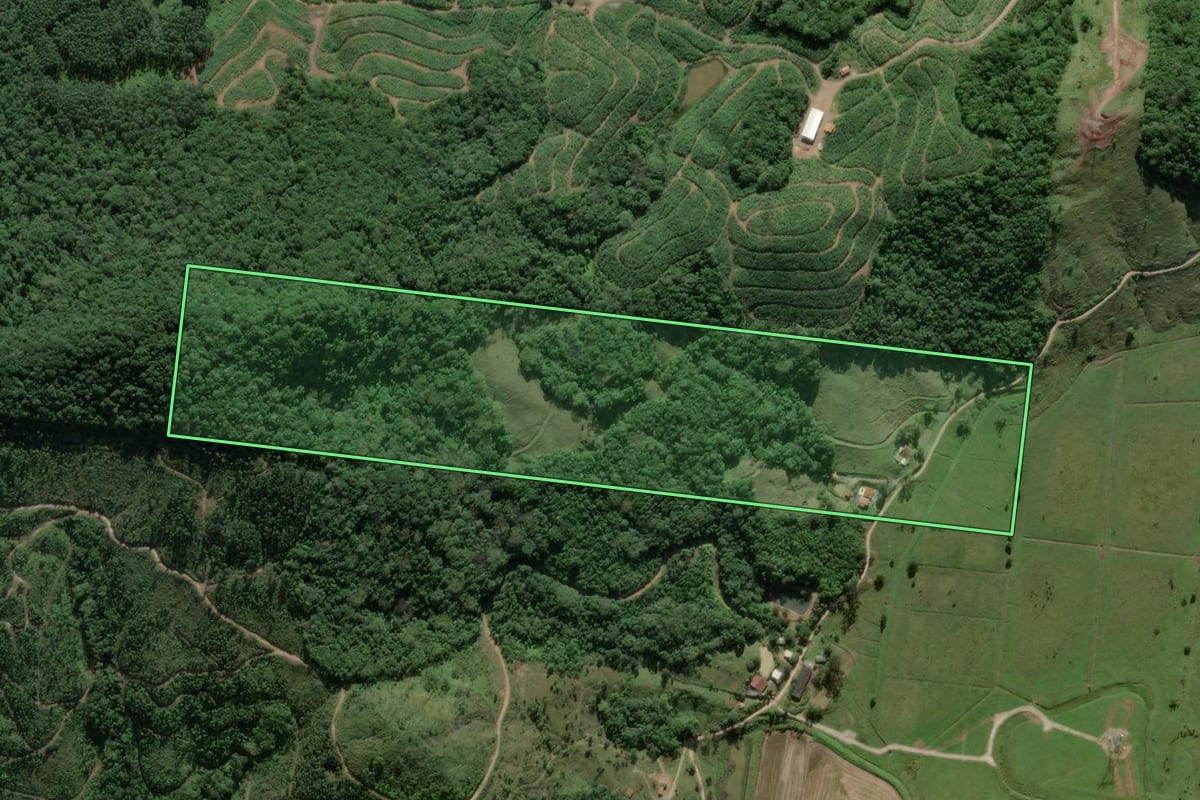 Imagem de satélite do imóvel rural em Luiz Alves (SC), com o contorno declarado no CAR desenhado por cima.