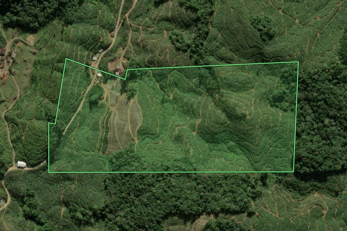 Imagem de satélite do imóvel rural em Luiz Alves (SC), com o contorno declarado no CAR desenhado por cima.