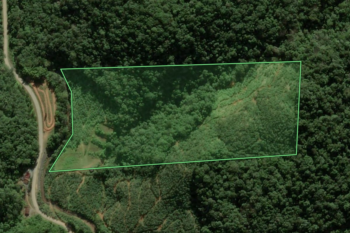 Imagem de satélite do imóvel rural em Luiz Alves (SC), com o contorno declarado no CAR desenhado por cima.