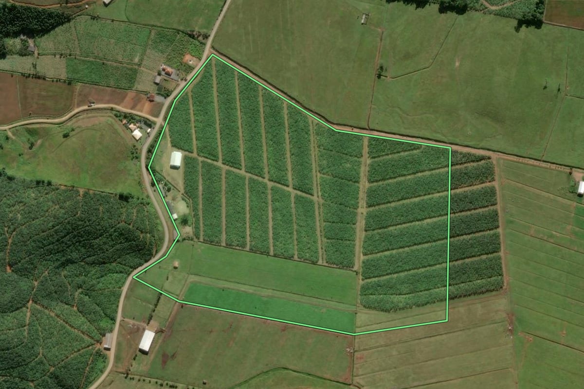 Imagem de satélite do imóvel rural em Luiz Alves (SC), com o contorno declarado no CAR desenhado por cima.