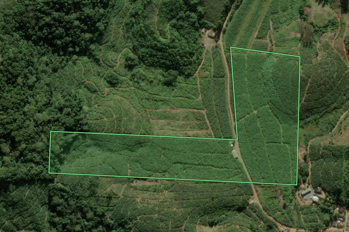 Imagem de satélite do imóvel rural em Luiz Alves (SC), com o contorno declarado no CAR desenhado por cima.