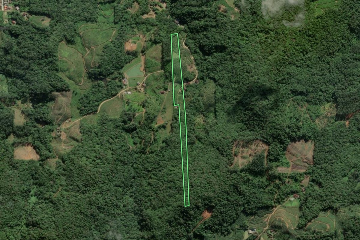 Imagem de satélite do imóvel rural em Luiz Alves (SC), com o contorno declarado no CAR desenhado por cima.