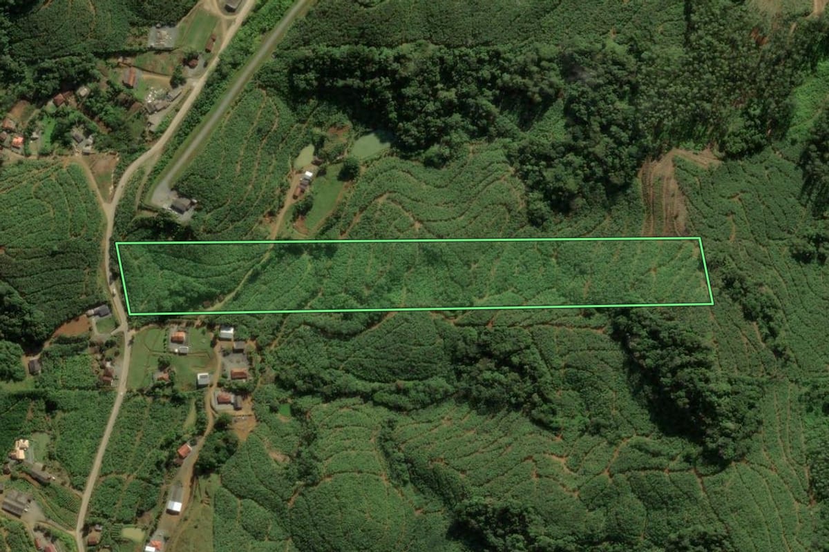 Imagem de satélite do imóvel rural em Luiz Alves (SC), com o contorno declarado no CAR desenhado por cima.