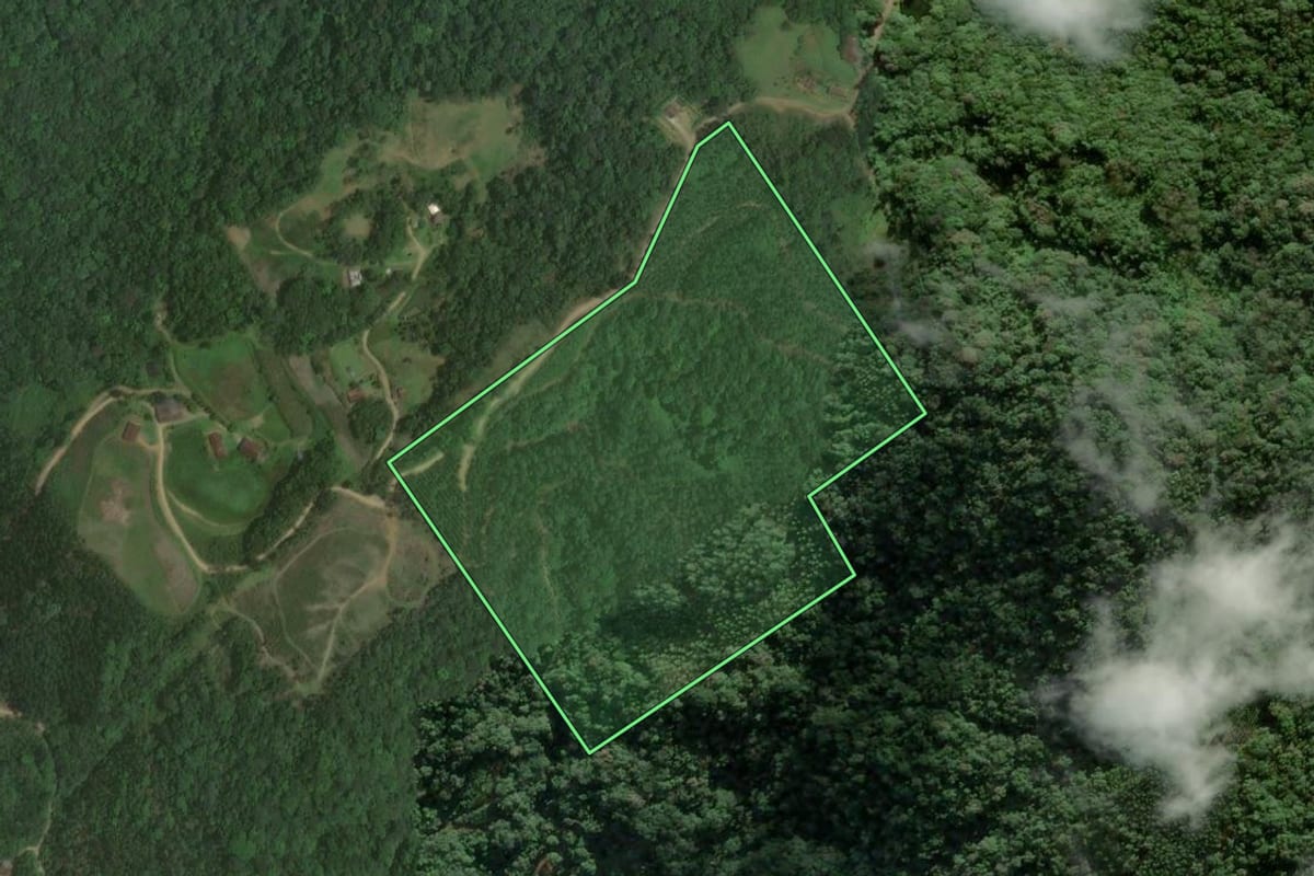 Imagem de satélite do imóvel rural em Luiz Alves (SC), com o contorno declarado no CAR desenhado por cima.