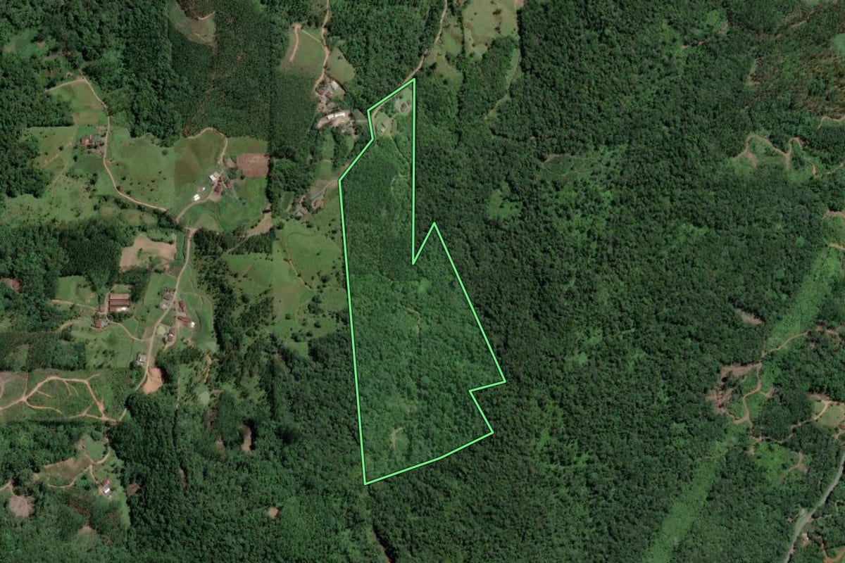 Imagem de satélite do imóvel rural em Luiz Alves (SC), com o contorno declarado no CAR desenhado por cima.