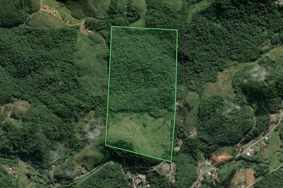 Imagem de satélite do imóvel rural em Luiz Alves (SC), com o contorno declarado no CAR desenhado por cima.