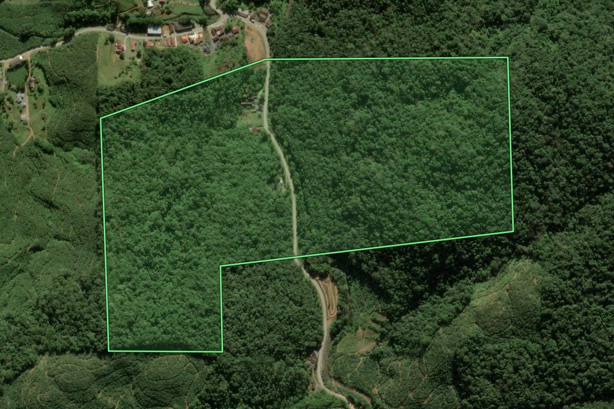 Imagem de satélite do imóvel rural em Luiz Alves (SC), com o contorno declarado no CAR desenhado por cima.