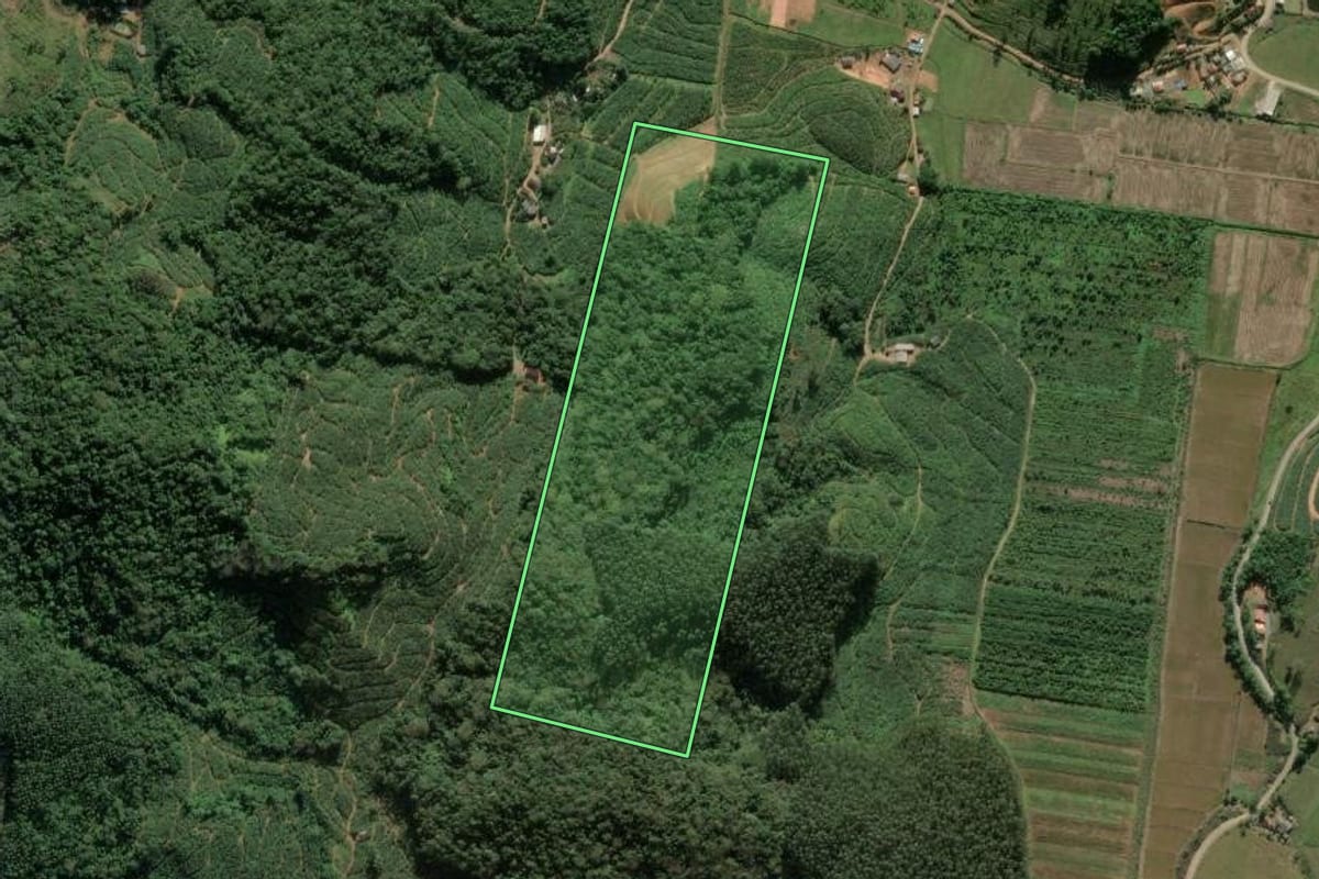 Imagem de satélite do imóvel rural em Luiz Alves (SC), com o contorno declarado no CAR desenhado por cima.