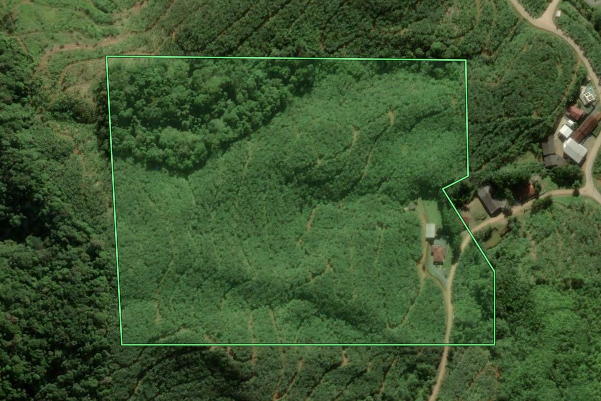 Imagem de satélite do imóvel rural em Luiz Alves (SC), com o contorno declarado no CAR desenhado por cima.