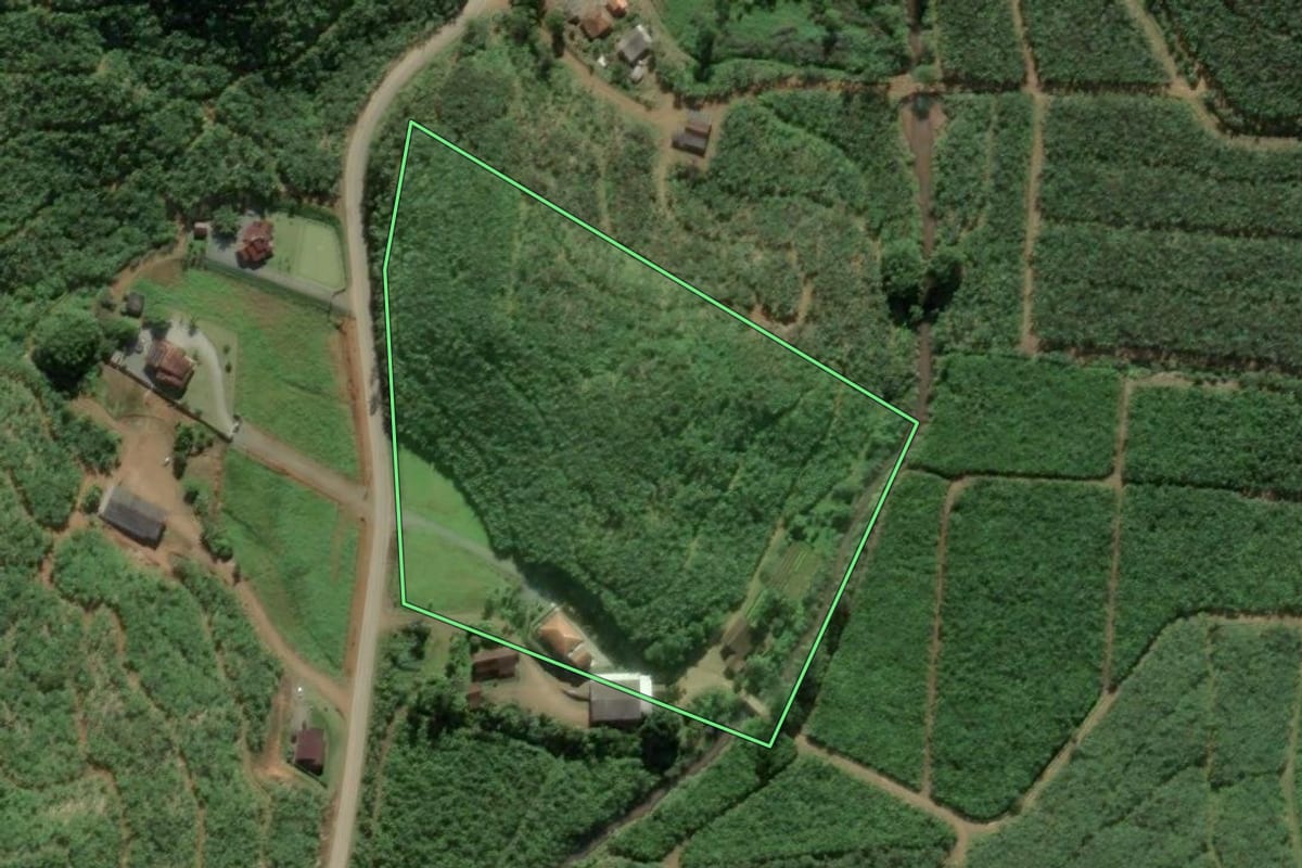 Imagem de satélite do imóvel rural em Luiz Alves (SC), com o contorno declarado no CAR desenhado por cima.