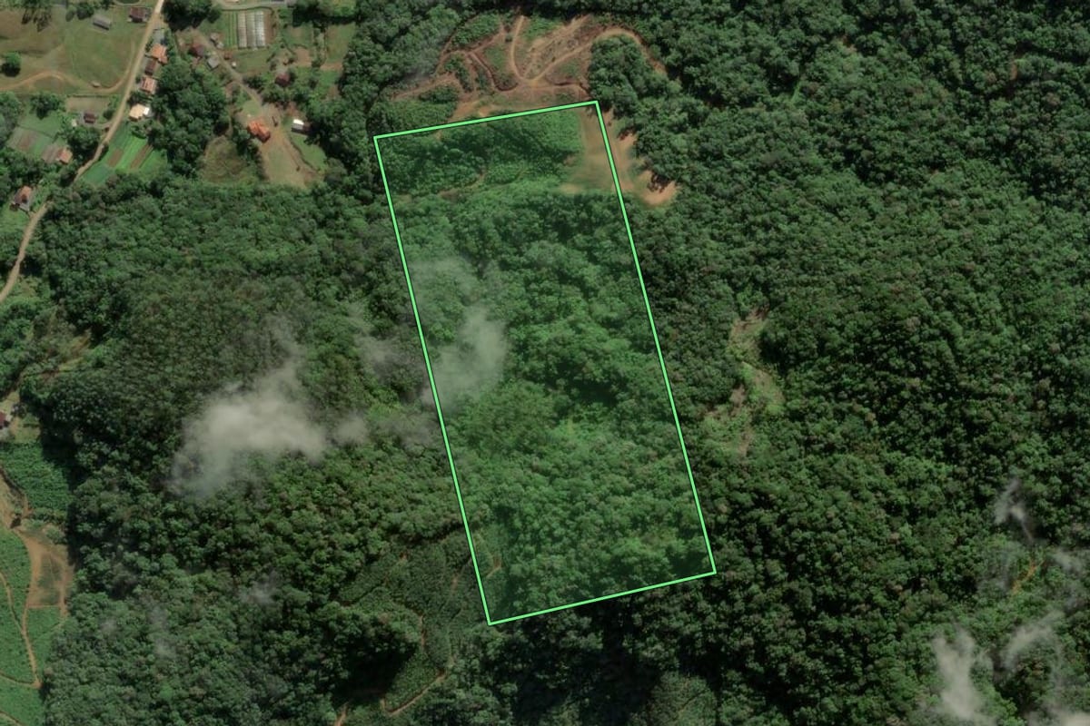 Imagem de satélite do imóvel rural em Luiz Alves (SC), com o contorno declarado no CAR desenhado por cima.