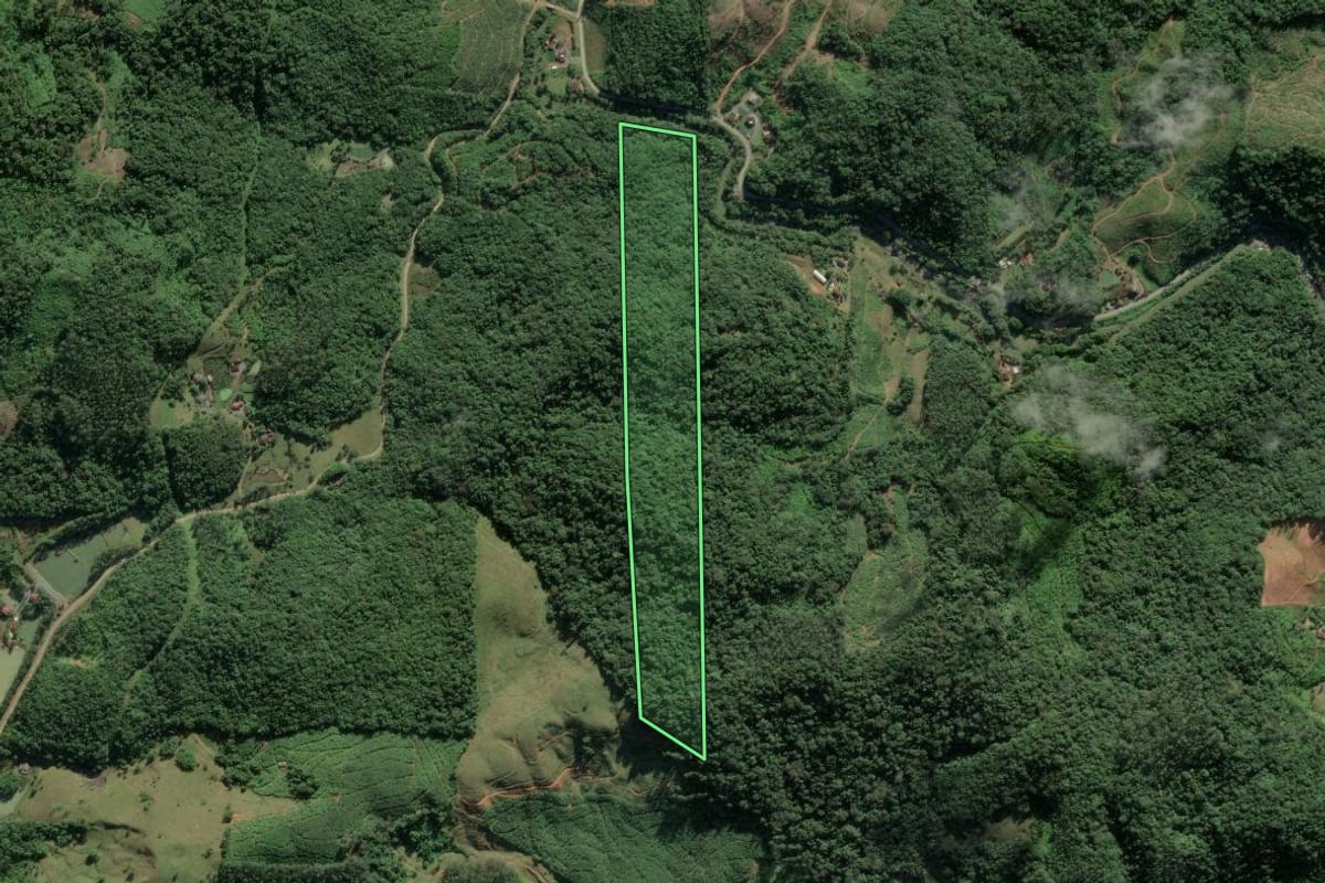 Imagem de satélite do imóvel rural em Luiz Alves (SC), com o contorno declarado no CAR desenhado por cima.
