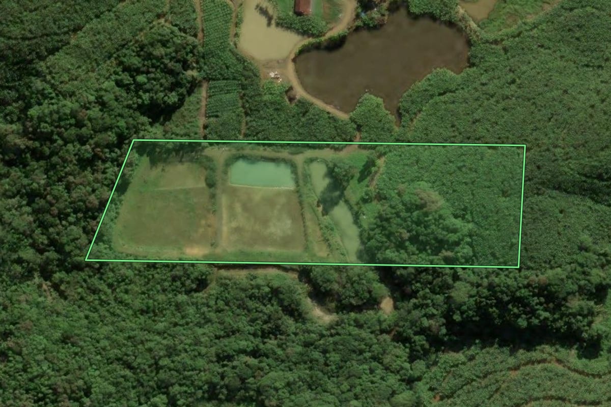 Imagem de satélite do imóvel rural em Luiz Alves (SC), com o contorno declarado no CAR desenhado por cima.