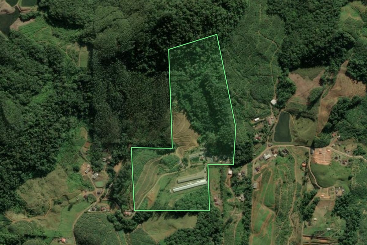 Imagem de satélite do imóvel rural em Luiz Alves (SC), com o contorno declarado no CAR desenhado por cima.