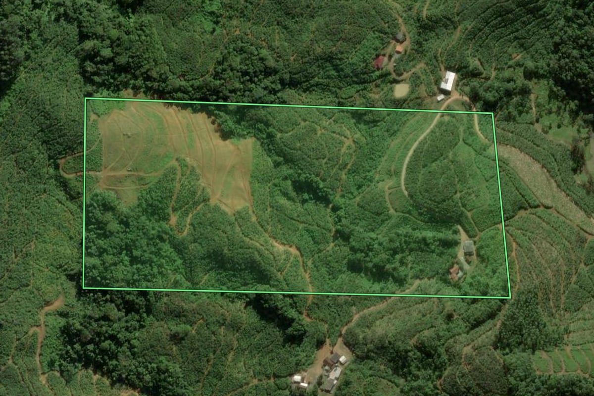 Imagem de satélite do imóvel rural em Luiz Alves (SC), com o contorno declarado no CAR desenhado por cima.