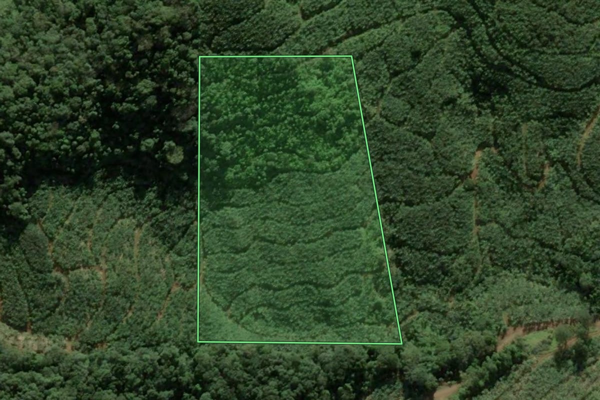 Imagem de satélite do imóvel rural em Luiz Alves (SC), com o contorno declarado no CAR desenhado por cima.