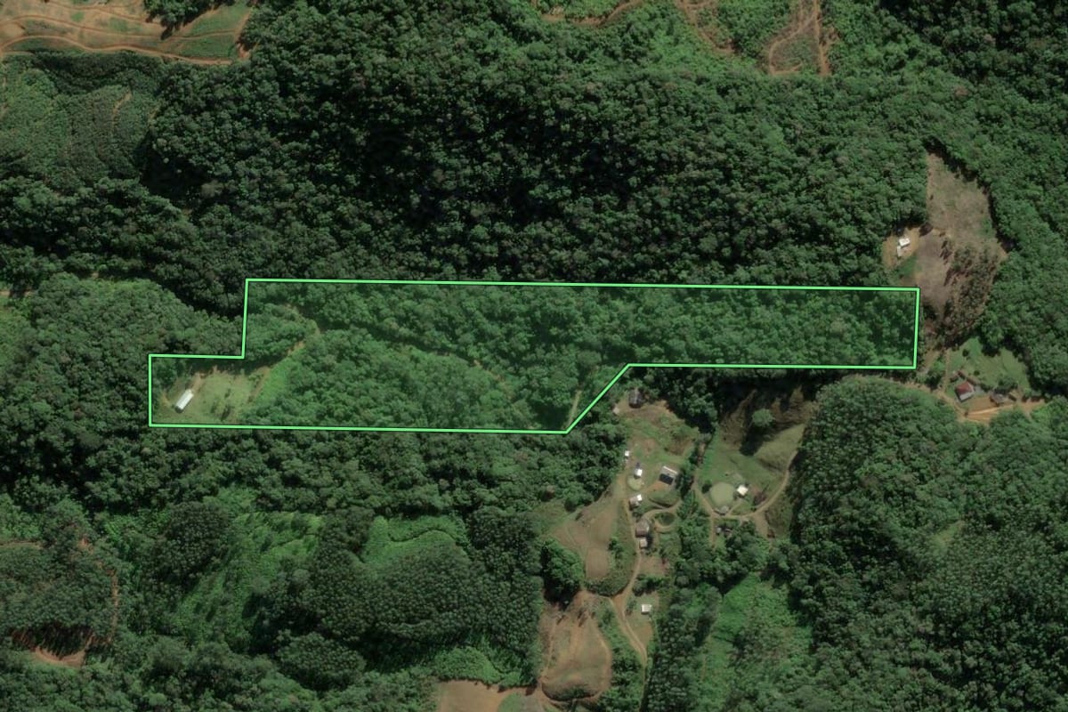 Imagem de satélite do imóvel rural em Luiz Alves (SC), com o contorno declarado no CAR desenhado por cima.
