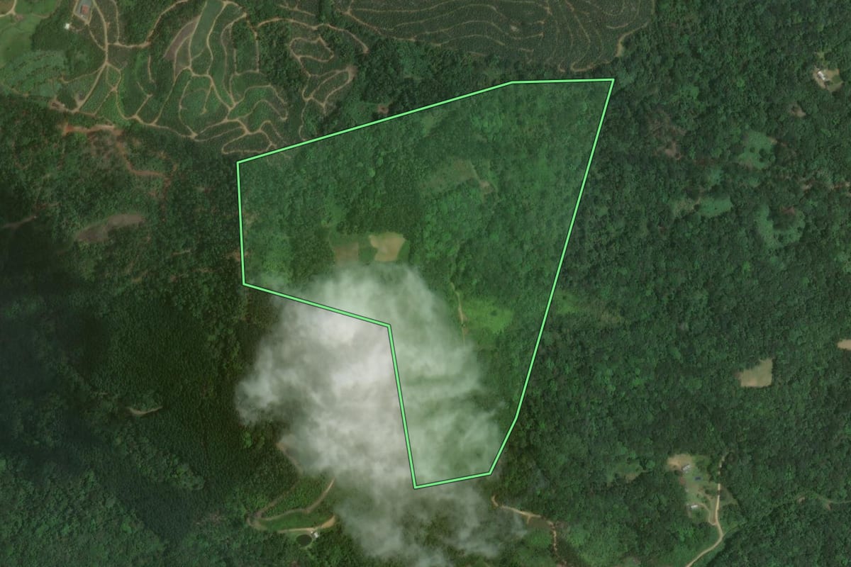 Imagem de satélite do imóvel rural em Luiz Alves (SC), com o contorno declarado no CAR desenhado por cima.