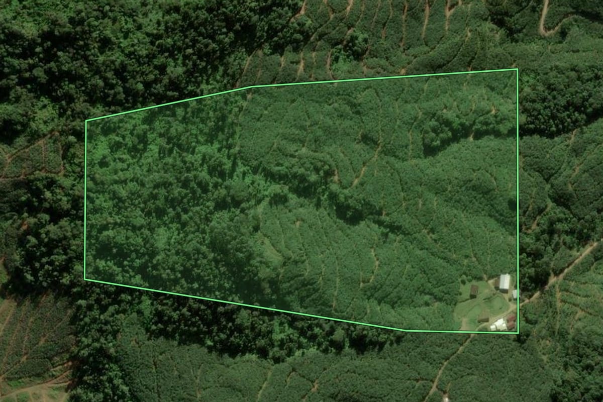 Imagem de satélite do imóvel rural em Luiz Alves (SC), com o contorno declarado no CAR desenhado por cima.