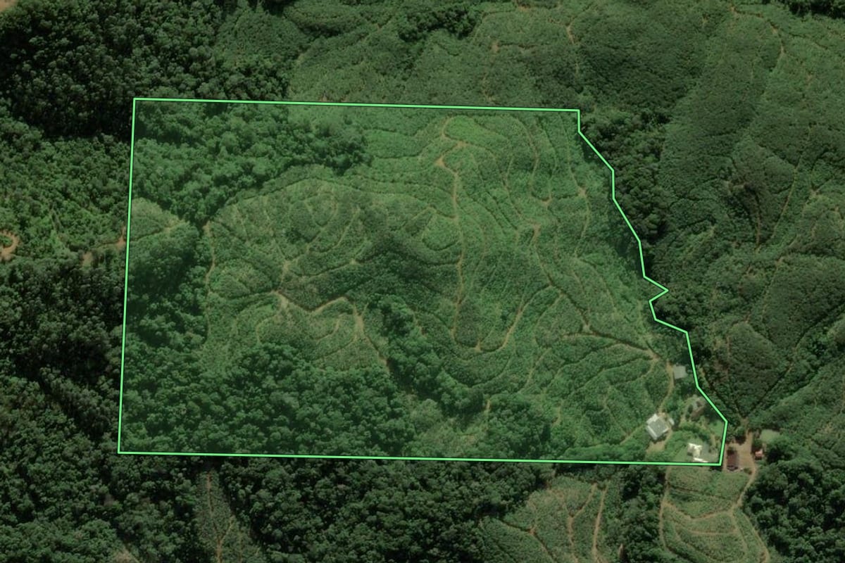 Imagem de satélite do imóvel rural em Luiz Alves (SC), com o contorno declarado no CAR desenhado por cima.
