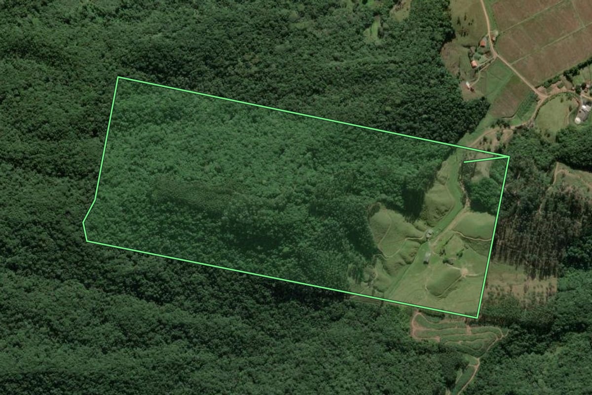 Imagem de satélite do imóvel rural em Luiz Alves (SC), com o contorno declarado no CAR desenhado por cima.