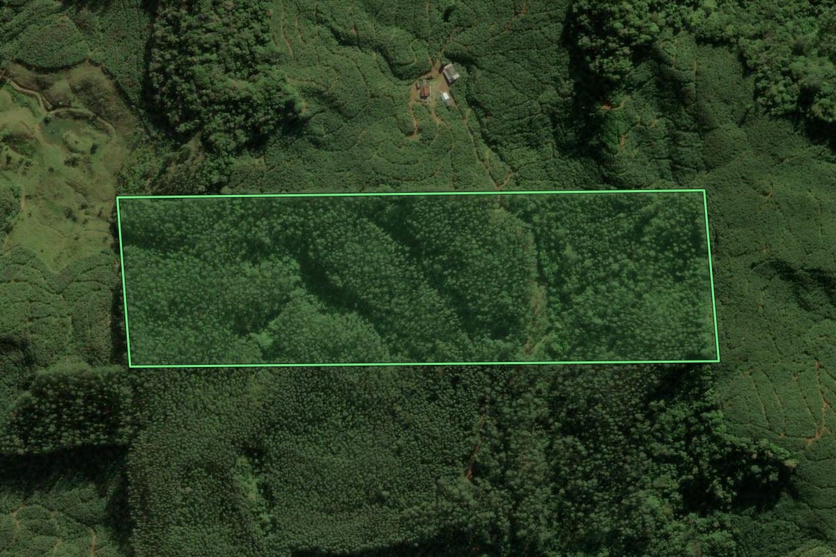 Imagem de satélite do imóvel rural em Luiz Alves (SC), com o contorno declarado no CAR desenhado por cima.