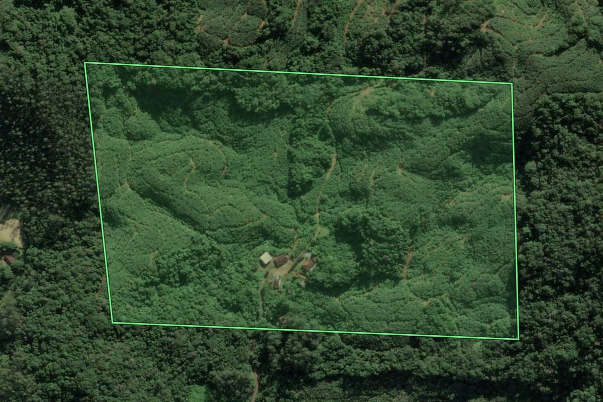 Imagem de satélite do imóvel rural em Luiz Alves (SC), com o contorno declarado no CAR desenhado por cima.