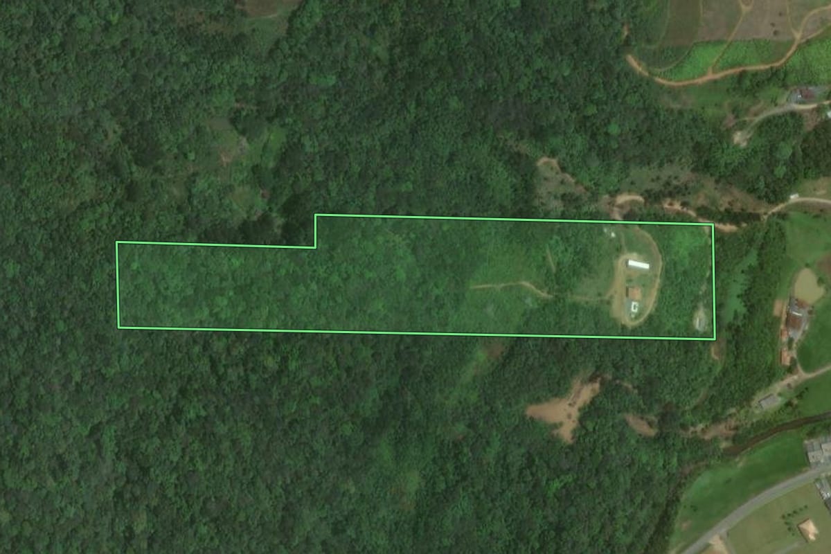 Imagem de satélite do imóvel rural em Luiz Alves (SC), com o contorno declarado no CAR desenhado por cima.