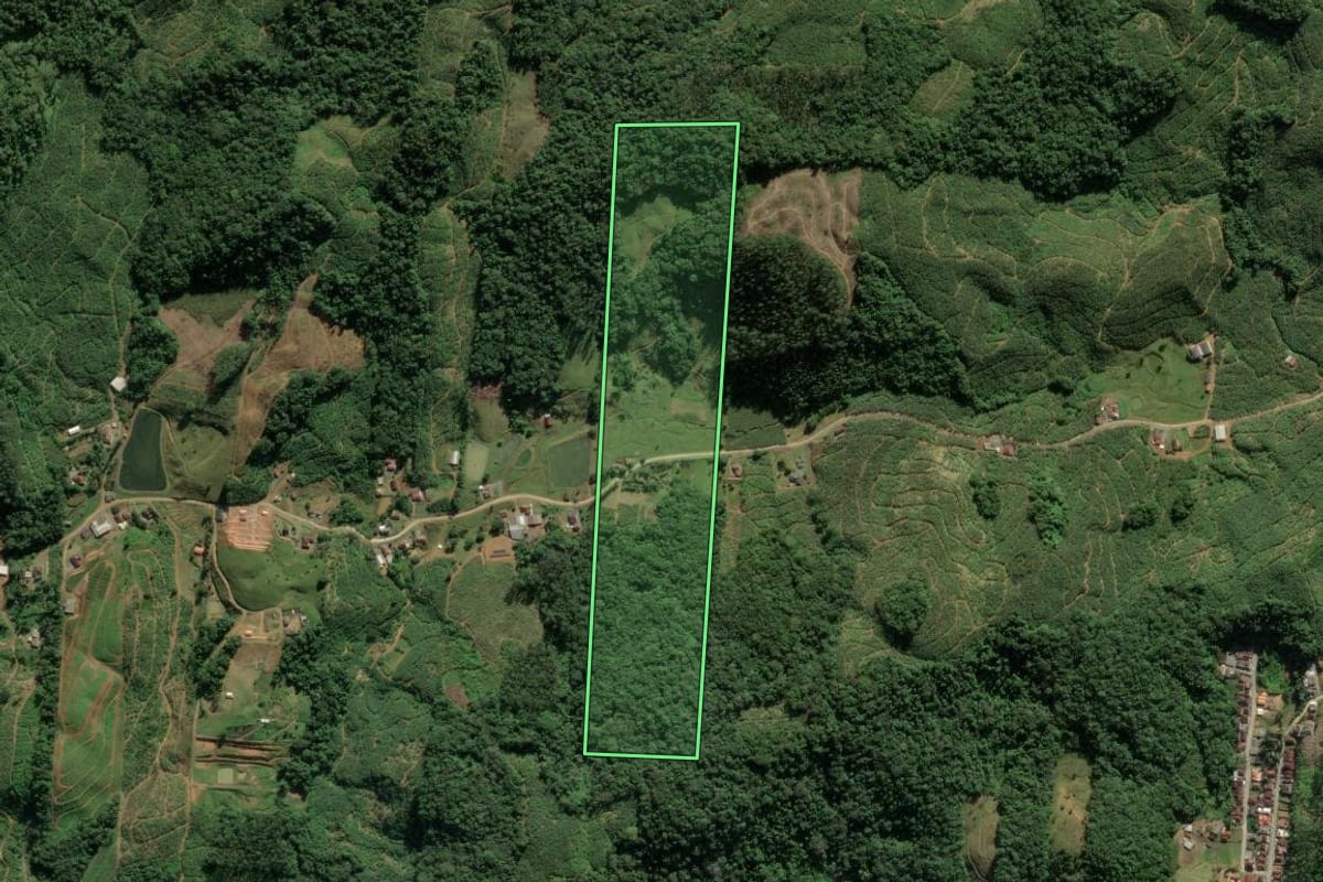 Imagem de satélite do imóvel rural em Luiz Alves (SC), com o contorno declarado no CAR desenhado por cima.