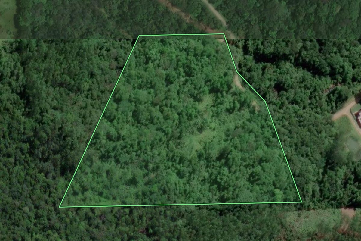 Imagem de satélite do imóvel rural em Luiz Alves (SC), com o contorno declarado no CAR desenhado por cima.