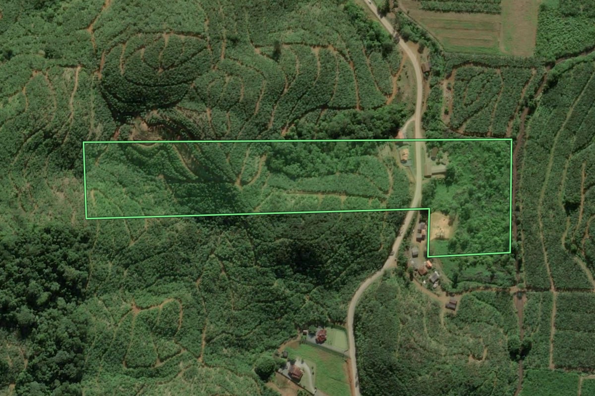 Imagem de satélite do imóvel rural em Luiz Alves (SC), com o contorno declarado no CAR desenhado por cima.