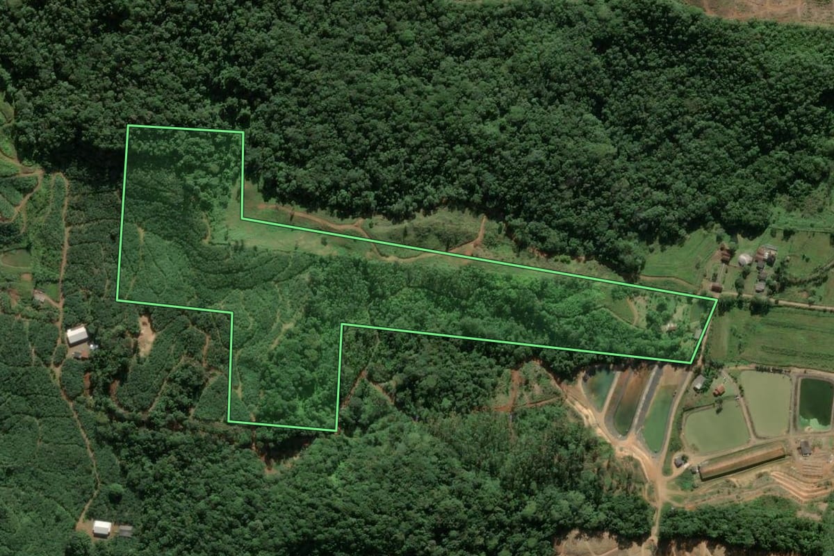 Imagem de satélite do imóvel rural em Luiz Alves (SC), com o contorno declarado no CAR desenhado por cima.
