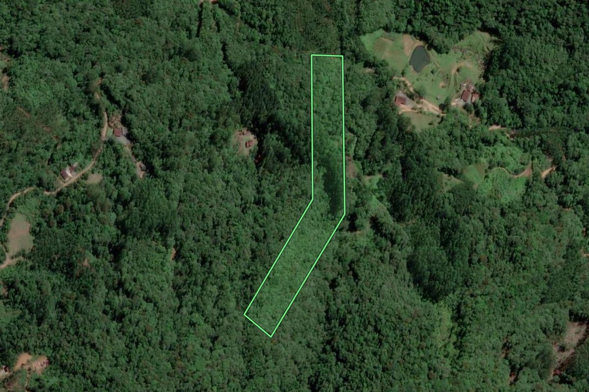 Imagem de satélite do imóvel rural em Luiz Alves (SC), com o contorno declarado no CAR desenhado por cima.