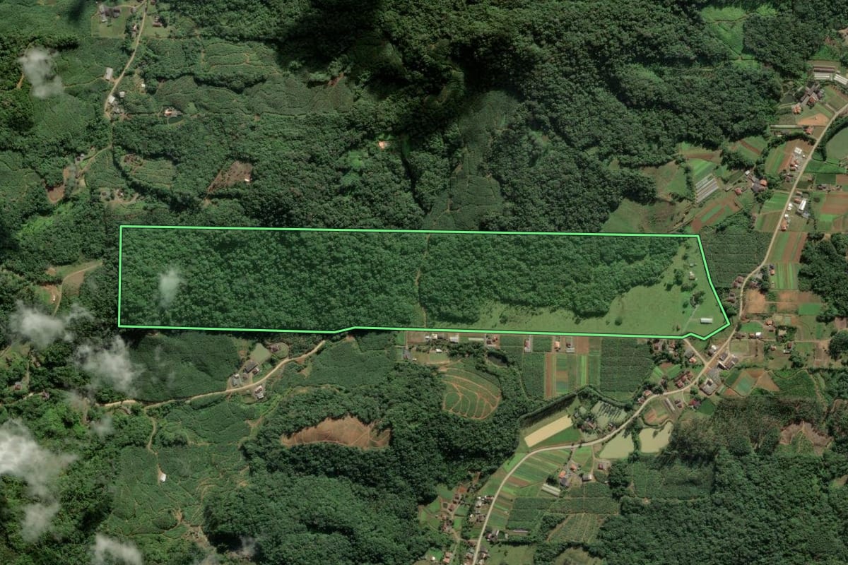 Imagem de satélite do imóvel rural em Luiz Alves (SC), com o contorno declarado no CAR desenhado por cima.