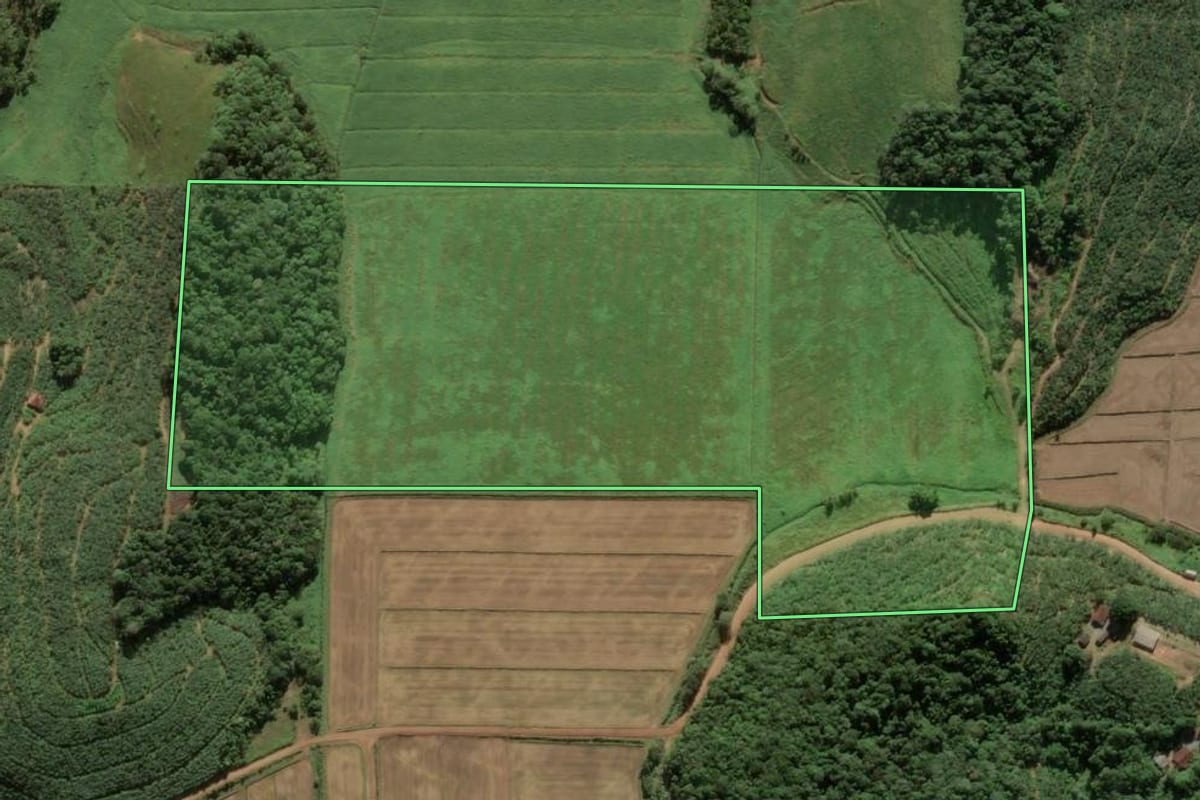 Imagem de satélite do imóvel rural em Luiz Alves (SC), com o contorno declarado no CAR desenhado por cima.