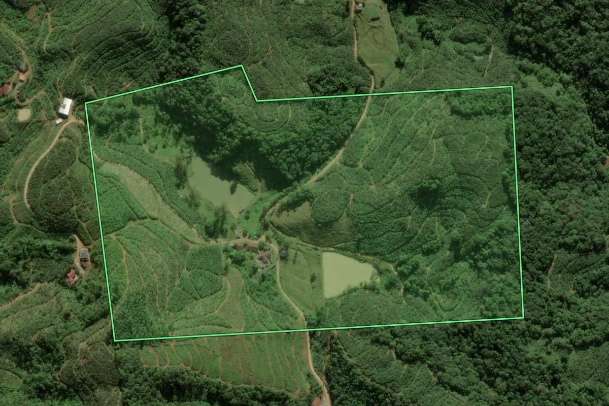 Imagem de satélite do imóvel rural em Luiz Alves (SC), com o contorno declarado no CAR desenhado por cima.