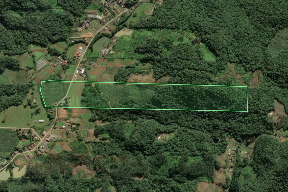 Imagem de satélite do imóvel rural em Luiz Alves (SC), com o contorno declarado no CAR desenhado por cima.