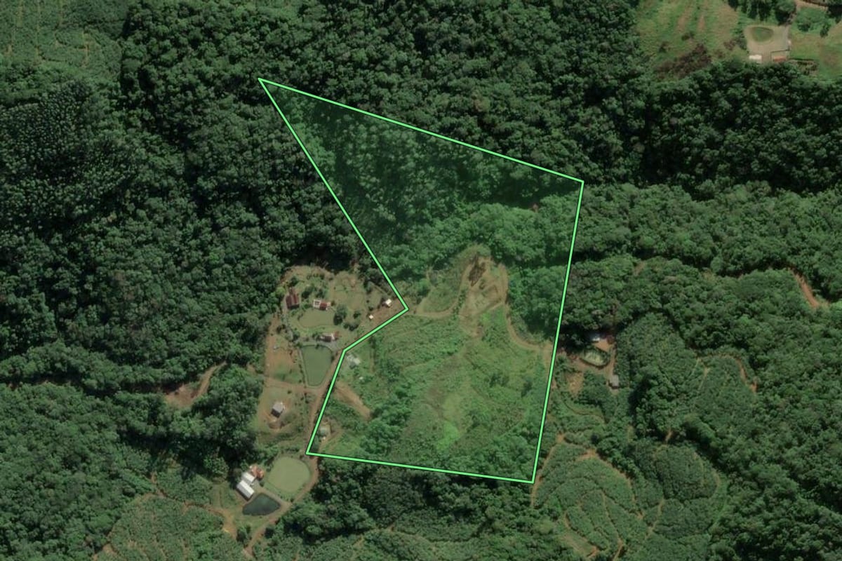 Imagem de satélite do imóvel rural em Luiz Alves (SC), com o contorno declarado no CAR desenhado por cima.